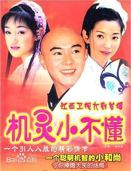 机灵小不懂 (2001)海报