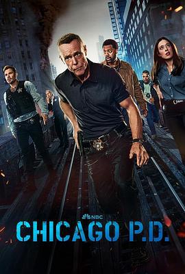 芝加哥警署 第十二季 Chicago P.D. Season 12 (2024)海报