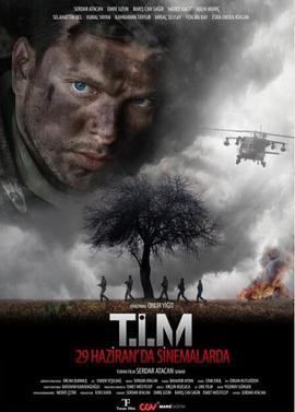 神鬼战队 T.I.M (2018)海报