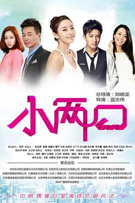小两口 (2013)海报