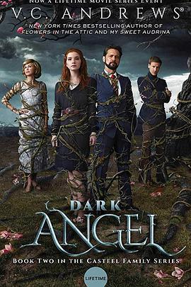 暗黑天使 Dark Angel (2019)海报