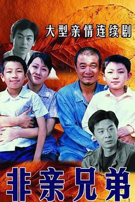 非亲兄弟 (2005)海报