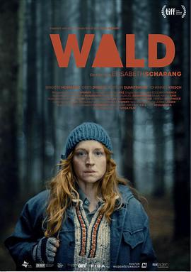 走出丛林 Wald (2023)海报