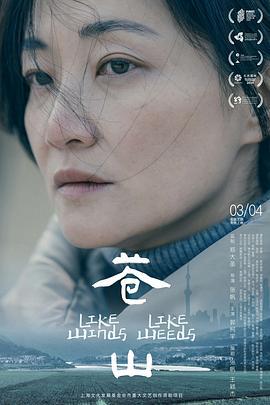 苍山 (2023)海报