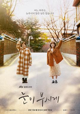 耀眼 눈이 부시게 (2019)海报