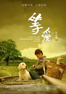 等爱 (2019)海报