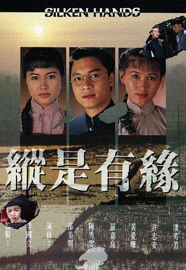 自梳女 (1990)海报