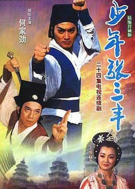 少年张三丰 少年張三豐 (1991)海报