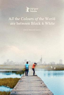 黑白之间是彩色世界 All the Colours of the World Are Between Black and White (2023)海报