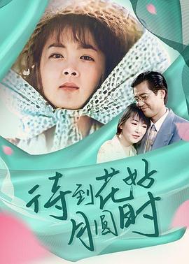 待到花好月圆时 (1996)海报