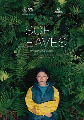 温柔的叶子 Soft Leaves (2025)海报