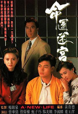 命运迷宫 命运迷宫 (1991)海报