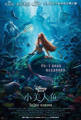 小美人鱼 The Little Mermaid (2023) qiang_ban海报