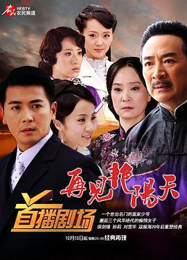 再见艳阳天 (2009)海报