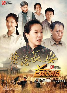叶落长安 (2011)海报
