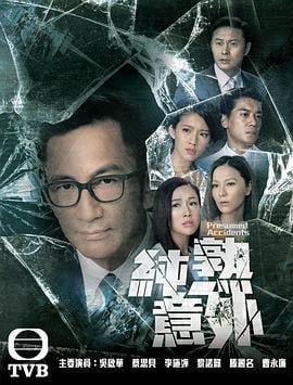 纯熟意外 純熟意外 (2016)海报