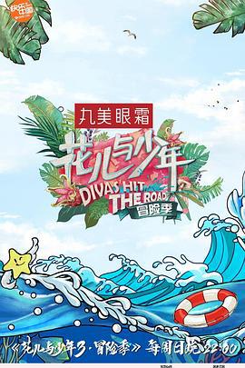 花儿与少年 第三季 (2017)海报