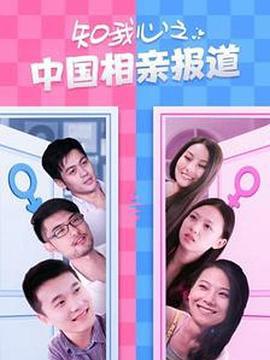 知我心之中国相亲报道 (2013)海报