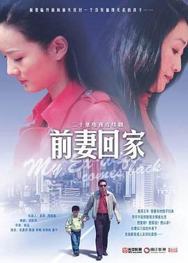 前妻回家 (2008)海报