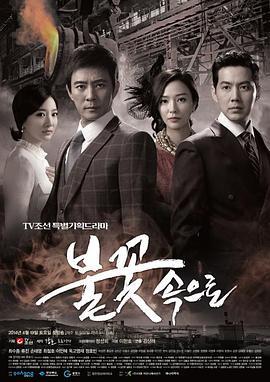 到火花中去 불꽃속으로 (2014)海报
