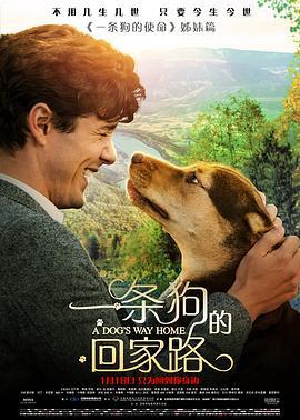 一条狗的回家路 A Dog's Way Home (2019)海报