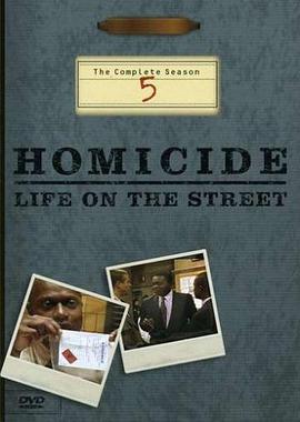 情理法的春天 第五季 Homicide: Life on the Street Season 5 (1996)海报