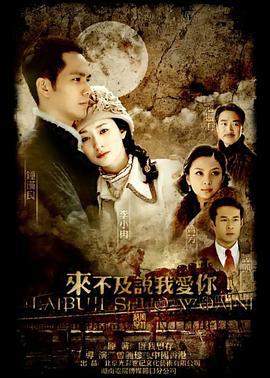 来不及说我爱你 (2010)海报