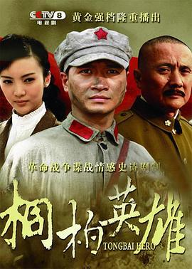 桐柏英雄 (2013)海报