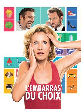 爱的抉择 L'embarras du choix (2017)海报