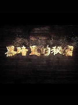 黑暗里的秘密 (2019)海报