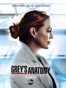实习医生格蕾 第十七季 Grey's Anatomy Season 17 (2020)海报