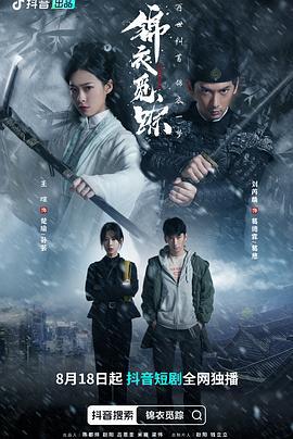 锦衣觅踪 (2023)海报