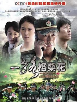 一路格桑花 (2010)海报