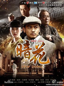 暗花 (2012)海报