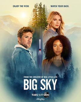 天空市凶案 第一季 Big Sky Season 1 (2020)海报