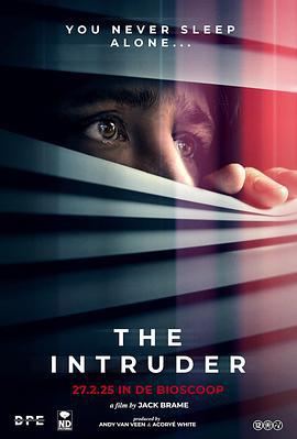 疑影夜袭 The Intruder (2025)海报