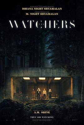 神秘窥视 The Watchers (2024)海报