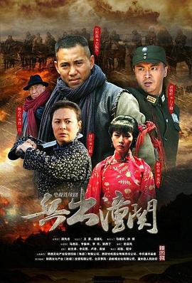 兵出潼关 (2014)海报