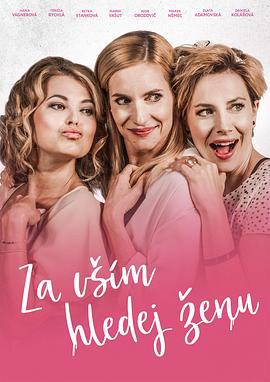 女性因素 Za vším hledej ženu (2022)海报