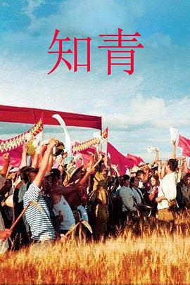 知青 (2012)海报