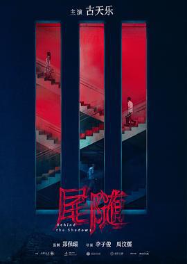 私家侦探 尾隨 (2025) guo_yu海报