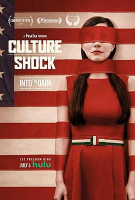 文明冲击 Culture Shock (2019)海报