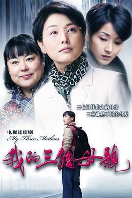我的三个母亲 (2010)海报