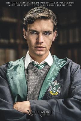 伏地魔：传人的起源 Voldemort: Origins of the Heir (2018)海报