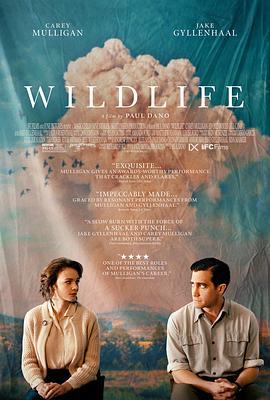 狂野生活 Wildlife (2018)海报