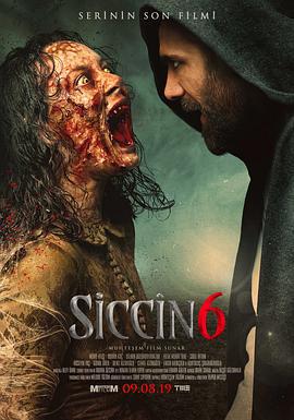 西辛6 Siccin 6 (2019)海报
