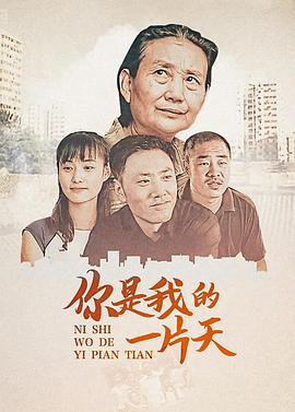 儿子 (2008)海报