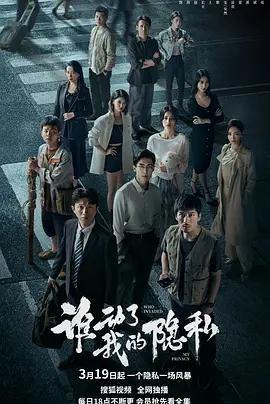 谁动了我的隐私 (2026)海报