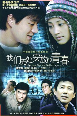 我们无处安放的青春 (2007)海报