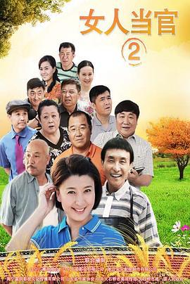 女人当官2 (2015)海报